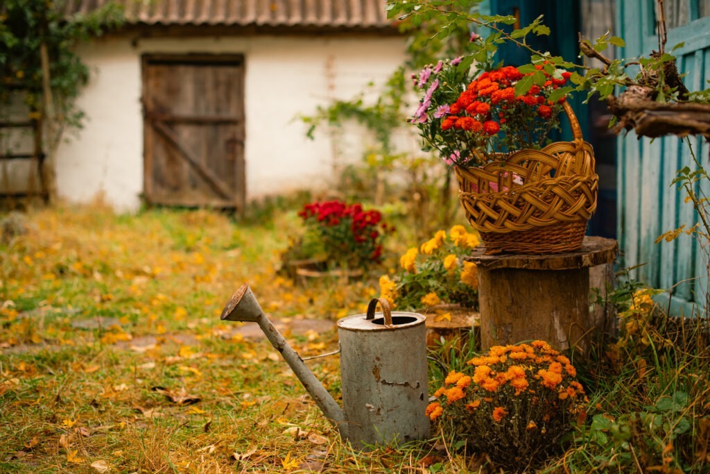 10 Essential Gardening Jobs to Do in September