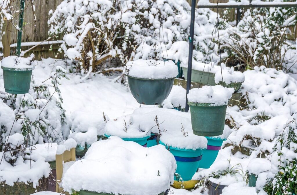 10 Essential Gardening Jobs to Do in January