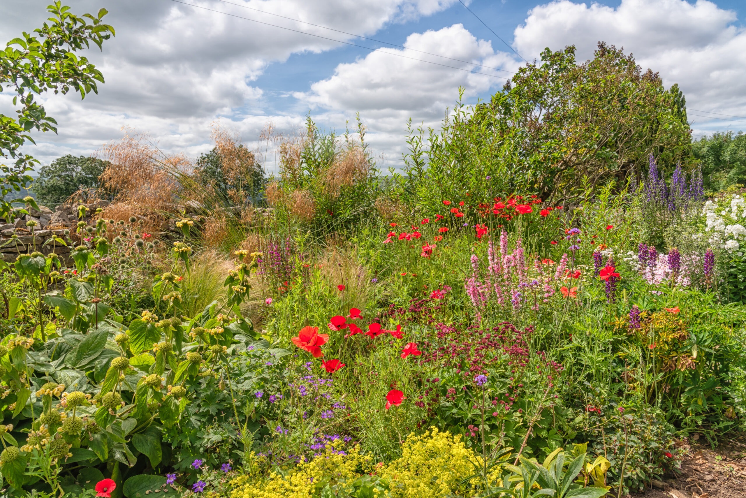 10 Essential Gardening Jobs to Do in June