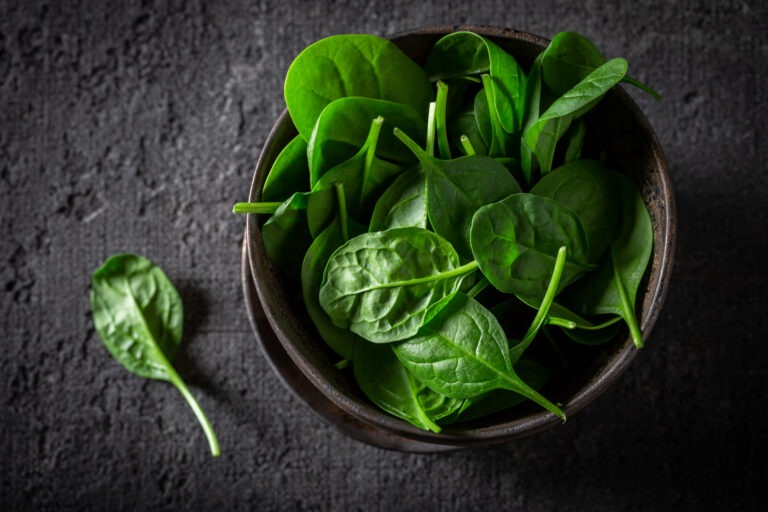 A Beginner’s Guide to Growing Spinach