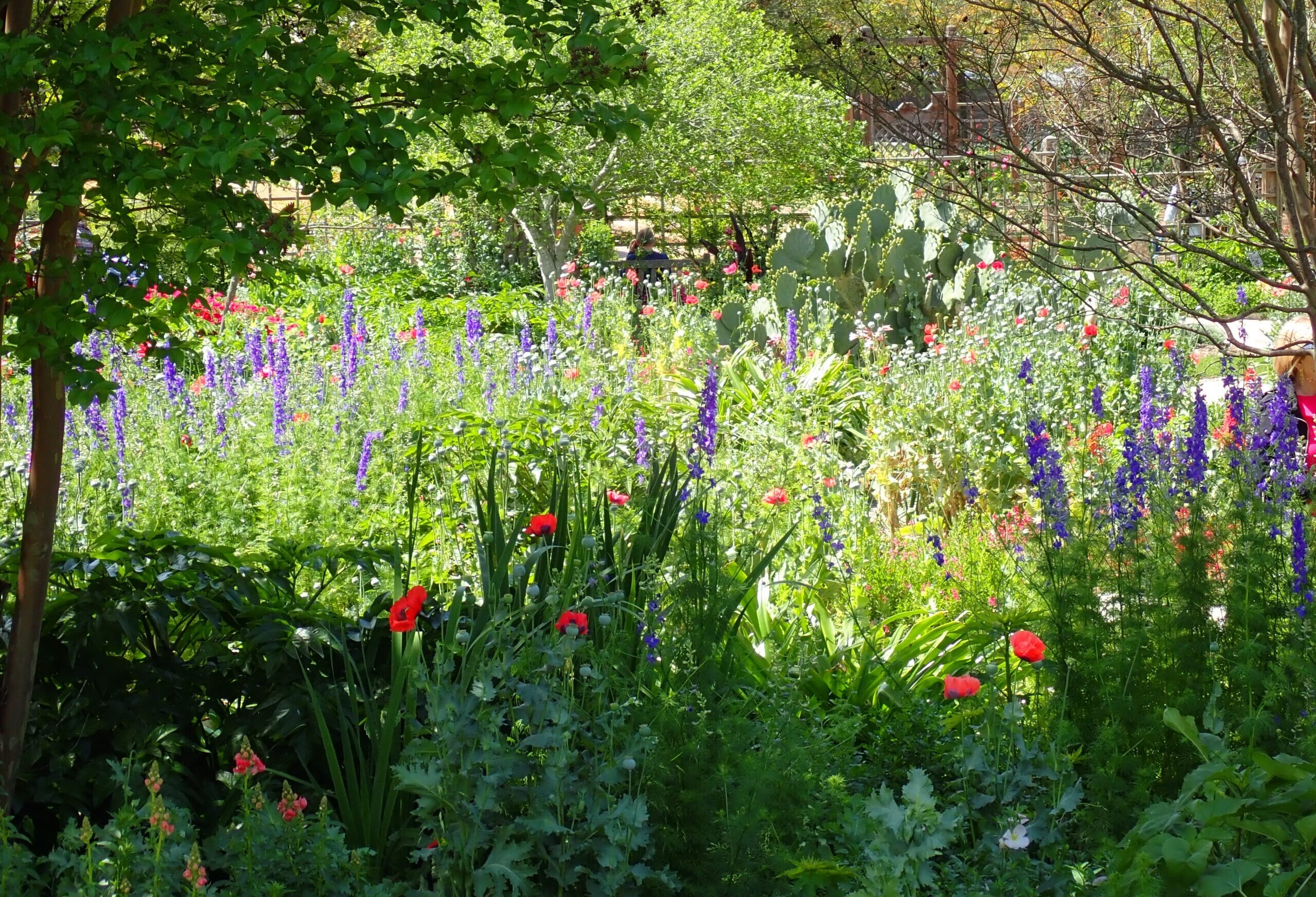 10 Essential Gardening Jobs to Do in July
