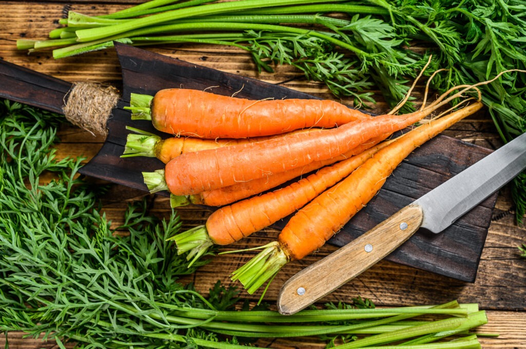 How to Grow Carrots All Year Round in the UK