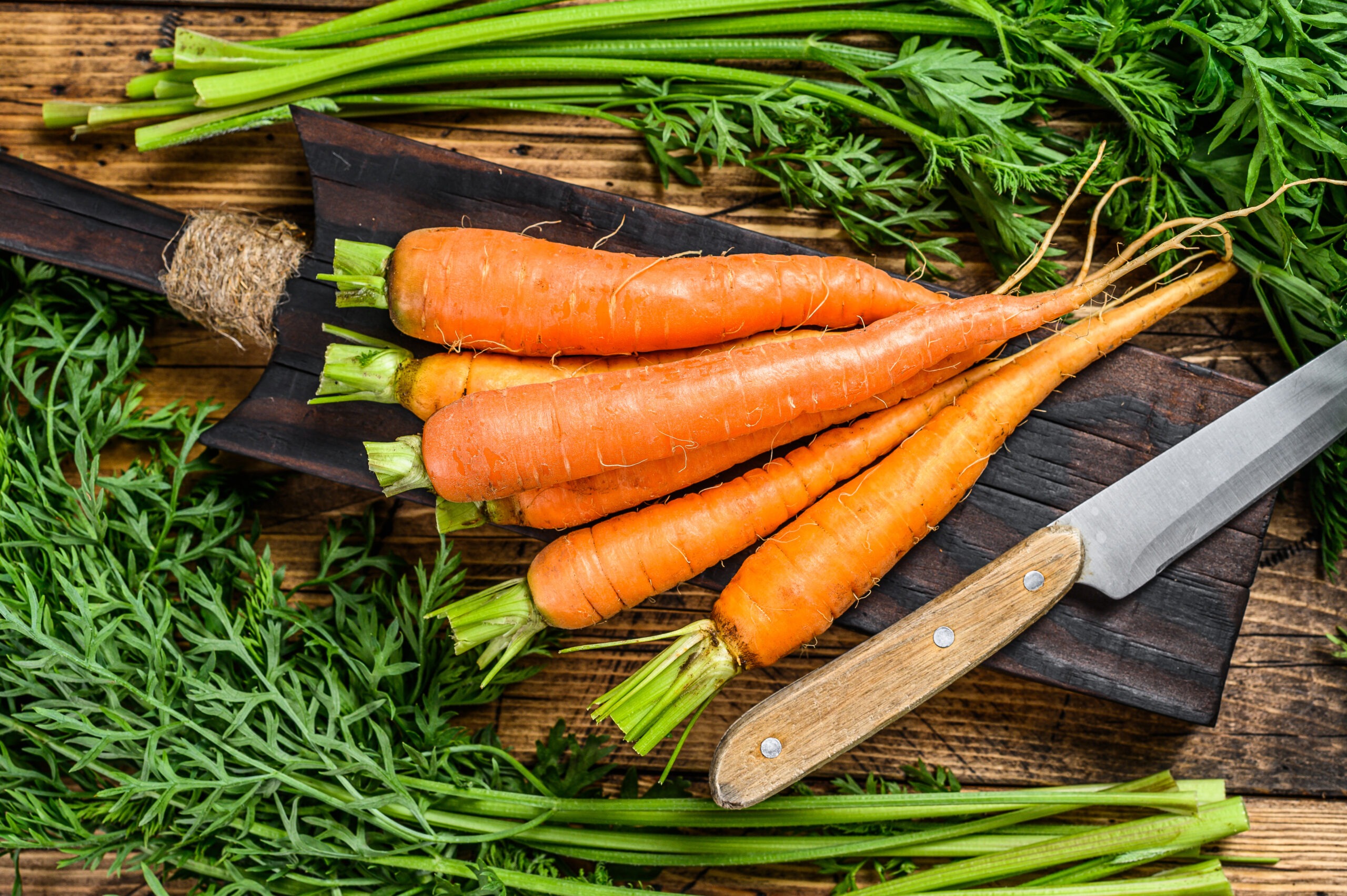 How to Grow Carrots All Year Round in the UK