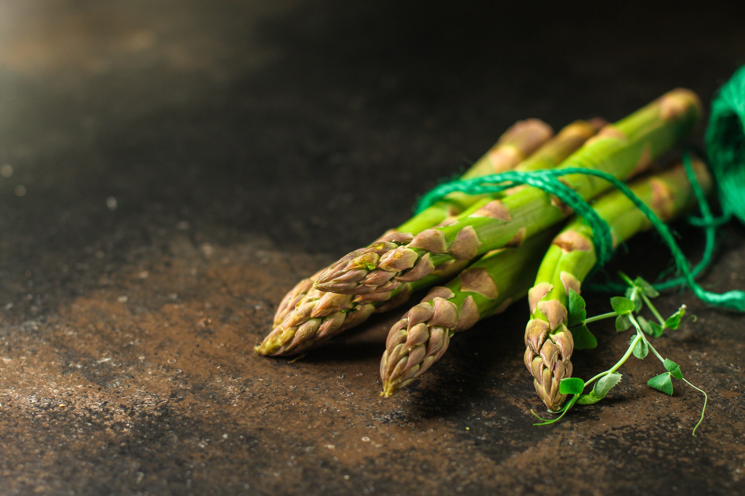 A Beginner’s Guide to Growing Asparagus