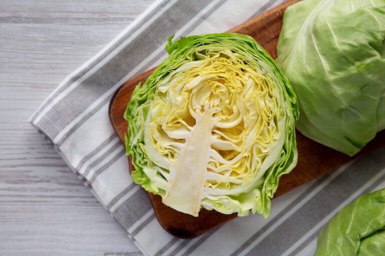 A Beginner’s Guide to Growing Cabbage