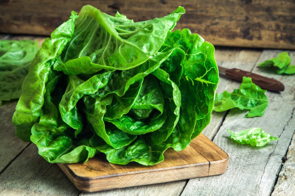 Lettuce