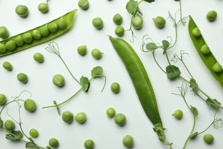 A Beginners Guide to Growing Peas