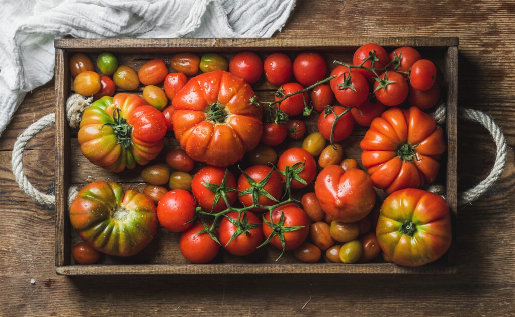 A selection of tomato varieties