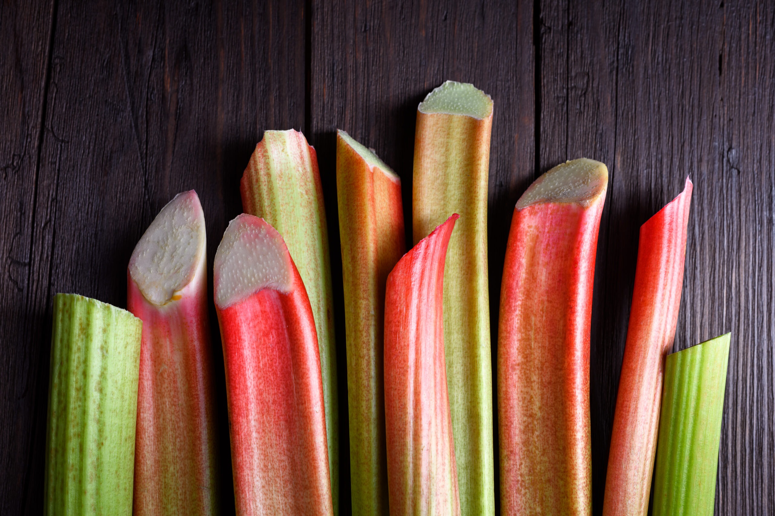 A Beginner’s Guide to Growing Rhubarb