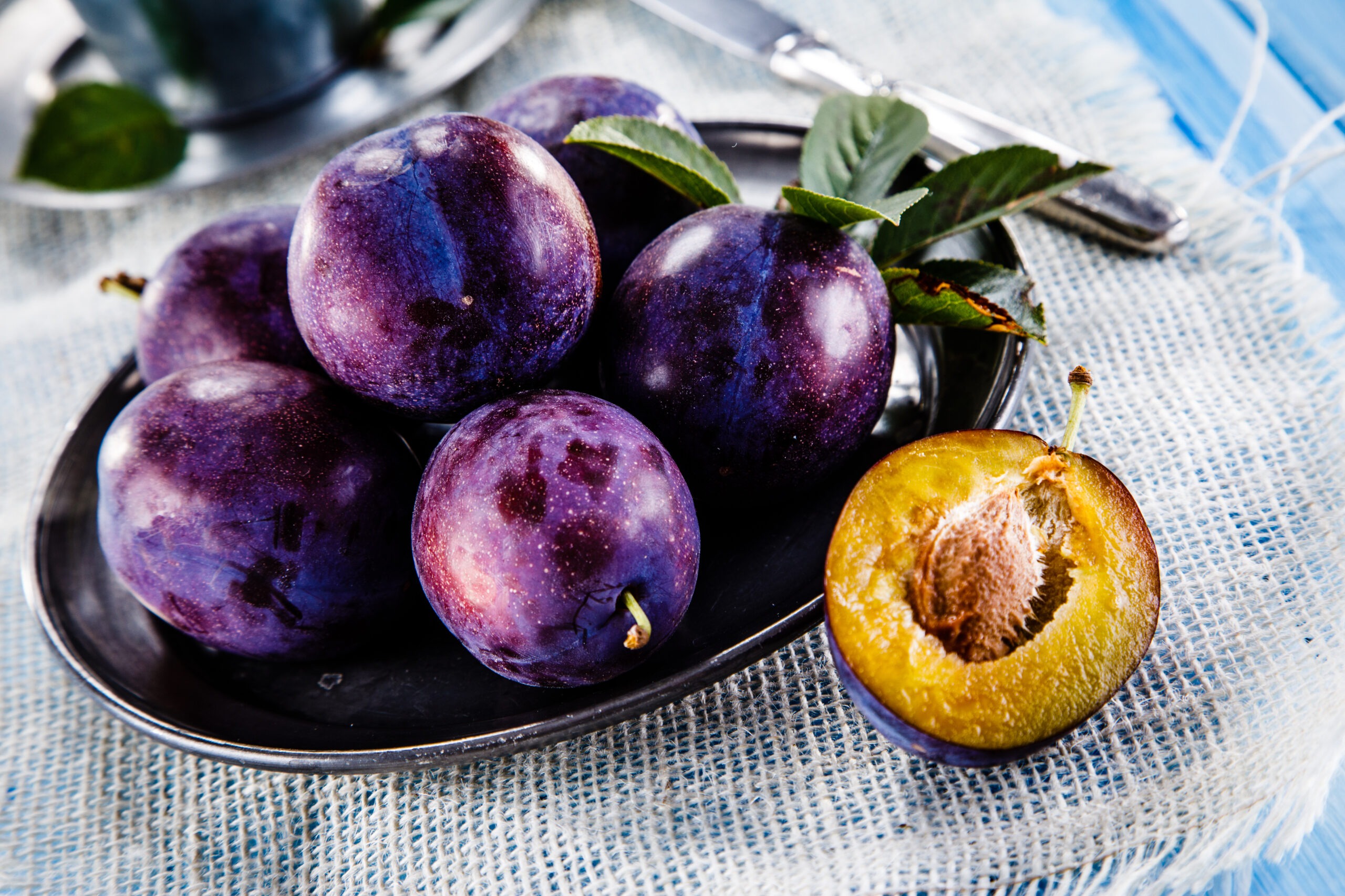 A Beginner’s Guide to Growing Plums