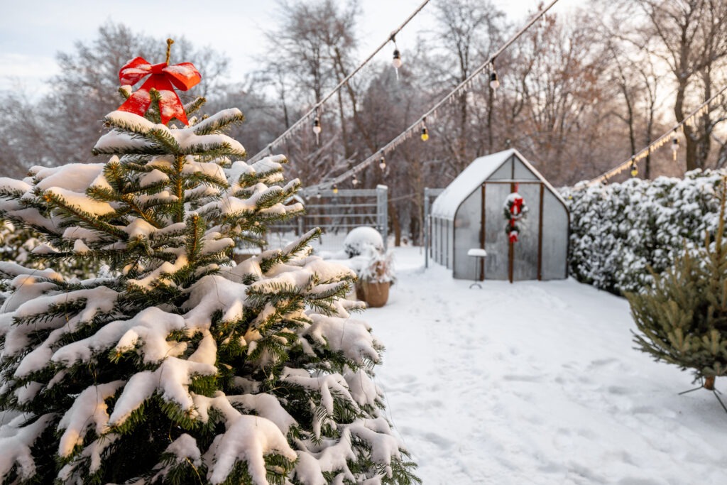 10 Essential Gardening Jobs to Do in December