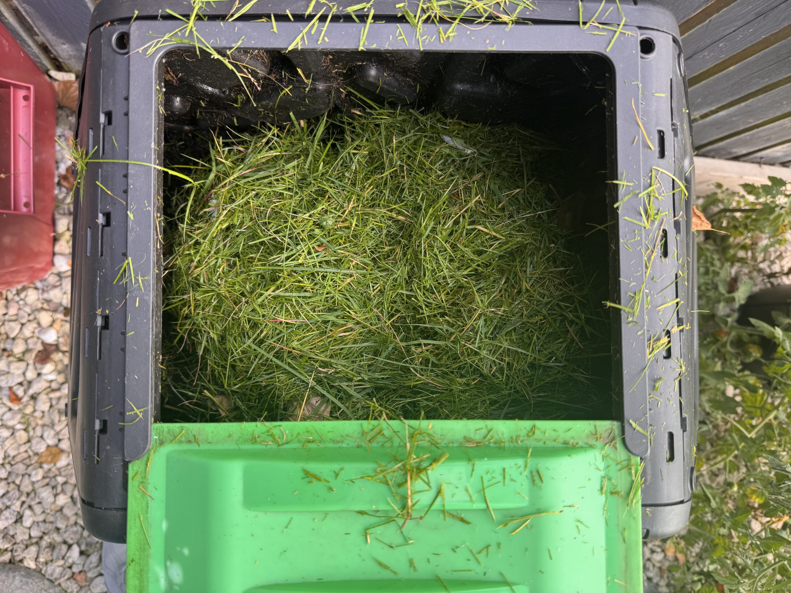 Fresh grass clippings in the open Outsunny compost tumbler