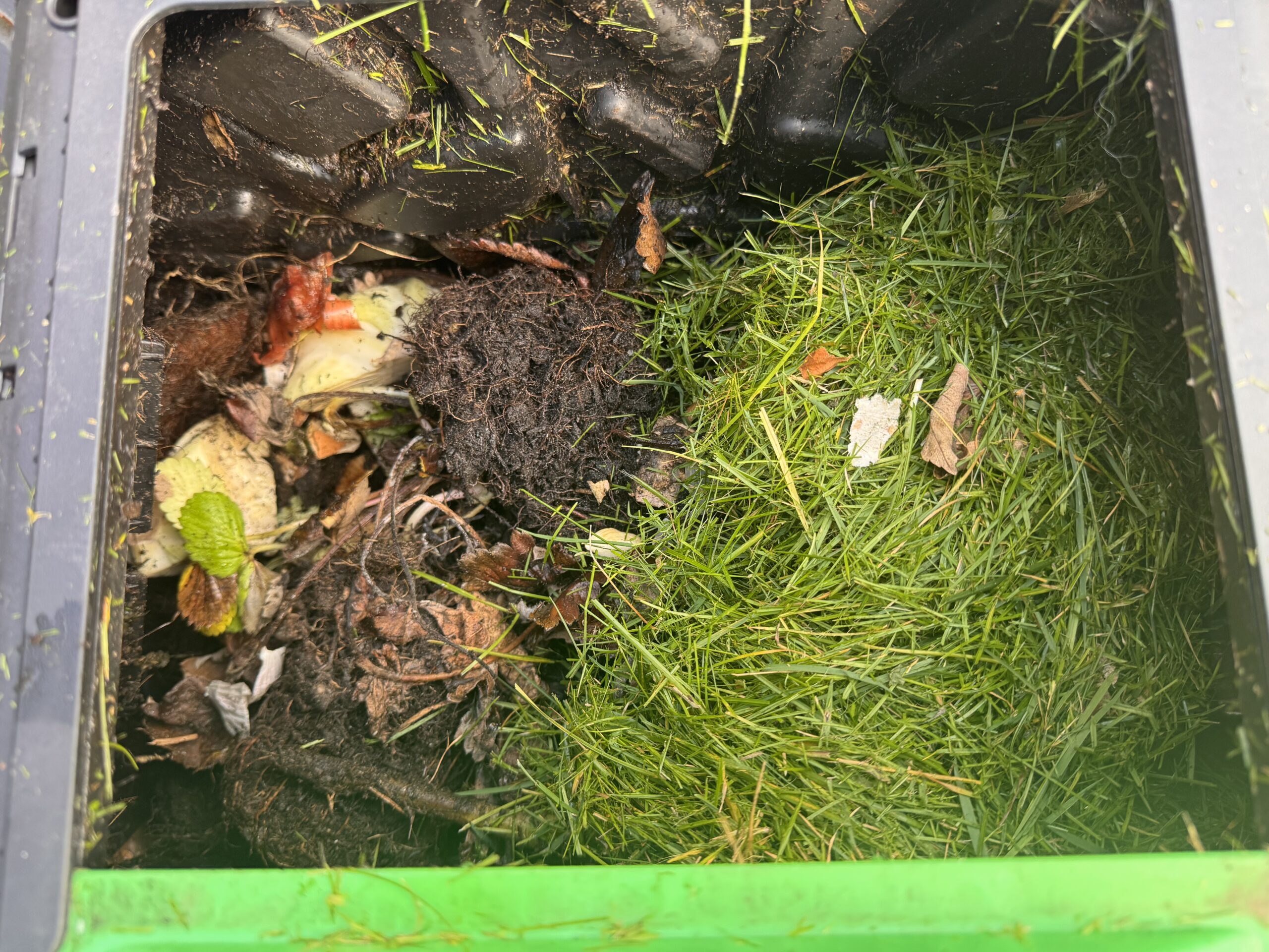 Close view of grass clippings, peelings and fibrous material inside the compost bin