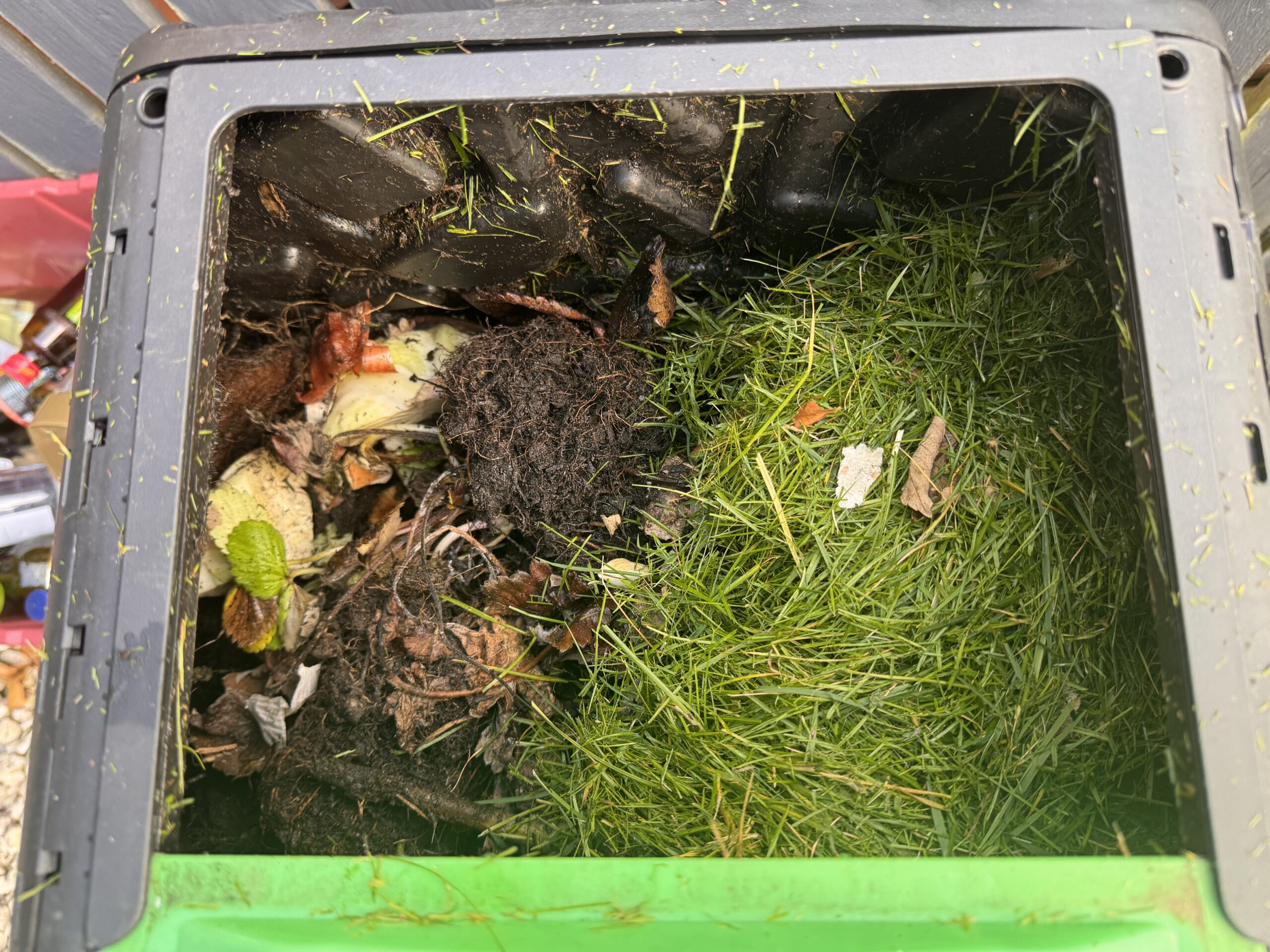 Grass clippings and kitchen scraps beside older composting material
